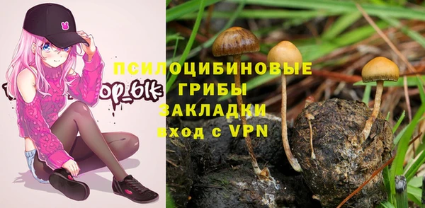 spice Туринск
