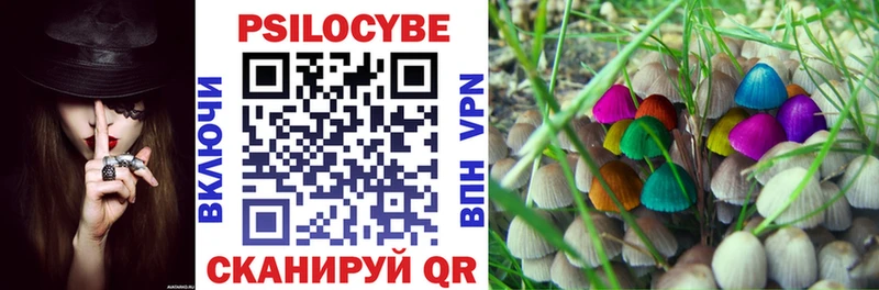 Галлюциногенные грибы Psilocybe  Шадринск 