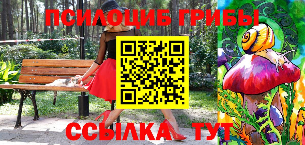 Галлюциногенные грибы прущие грибы Шадринск