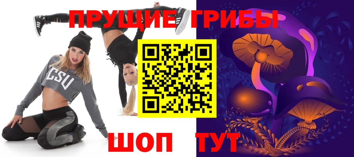 Галлюциногенные грибы Cubensis  Галлюциногенные грибы прущие грибы  Вход с VPN  Шадринск 
